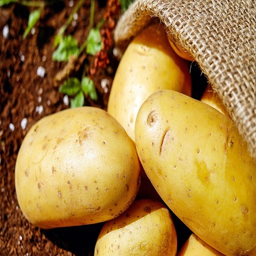 Obrázek článku: Ukradl brambory za 250 tisíc