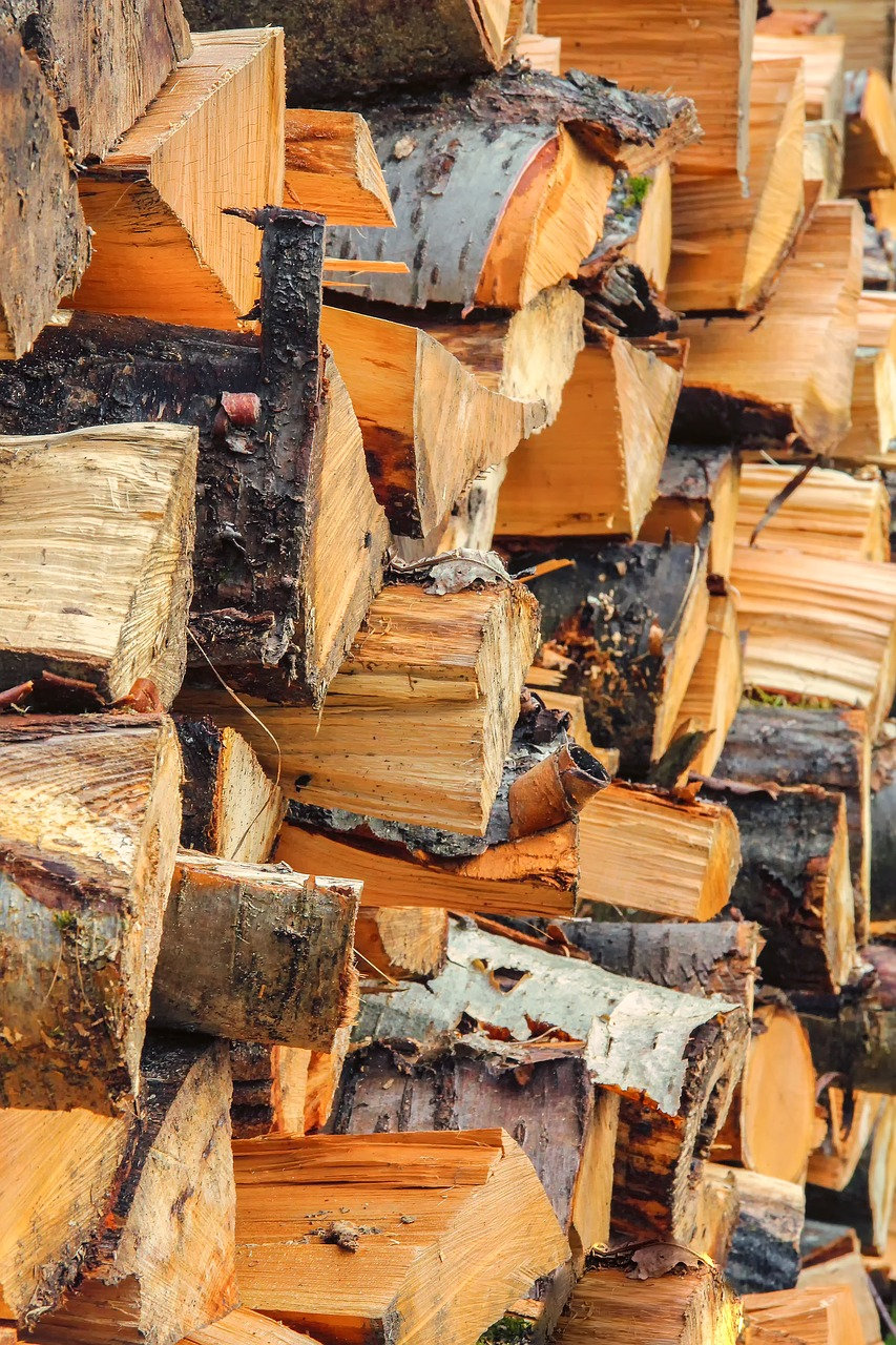 Obrázek článku: Další krádež dřeva za desítky tisíc...