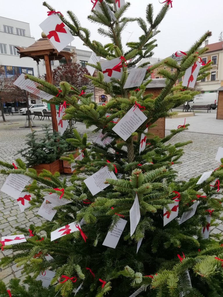 Obrázek článku: Vánoční strom v Hranicích již svítí