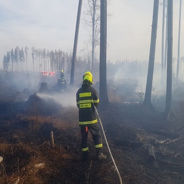 Obrázek článku: O víkendu hořel les u Libavé