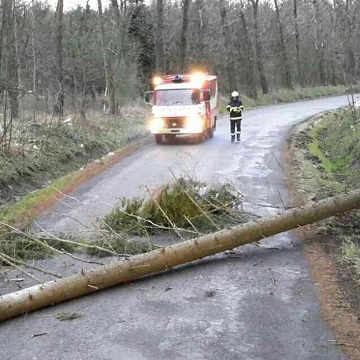 Obrázek článku: Spadané stromy uzavřely silnici, vichr trhá střešní plechy.