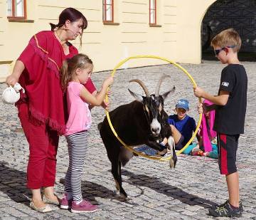 Obrázek článku: Běh Zámeckým parkem se vydařil, včetně vystoupení cvičených koz