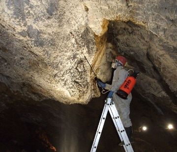 Obrázek článku: Opony ve Zbrašovských aragonitových jeskyních napadají houby, řešením je sanace