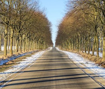 Obrázek článku: Na Přerovsku jsou cesty vymrzlé a holé